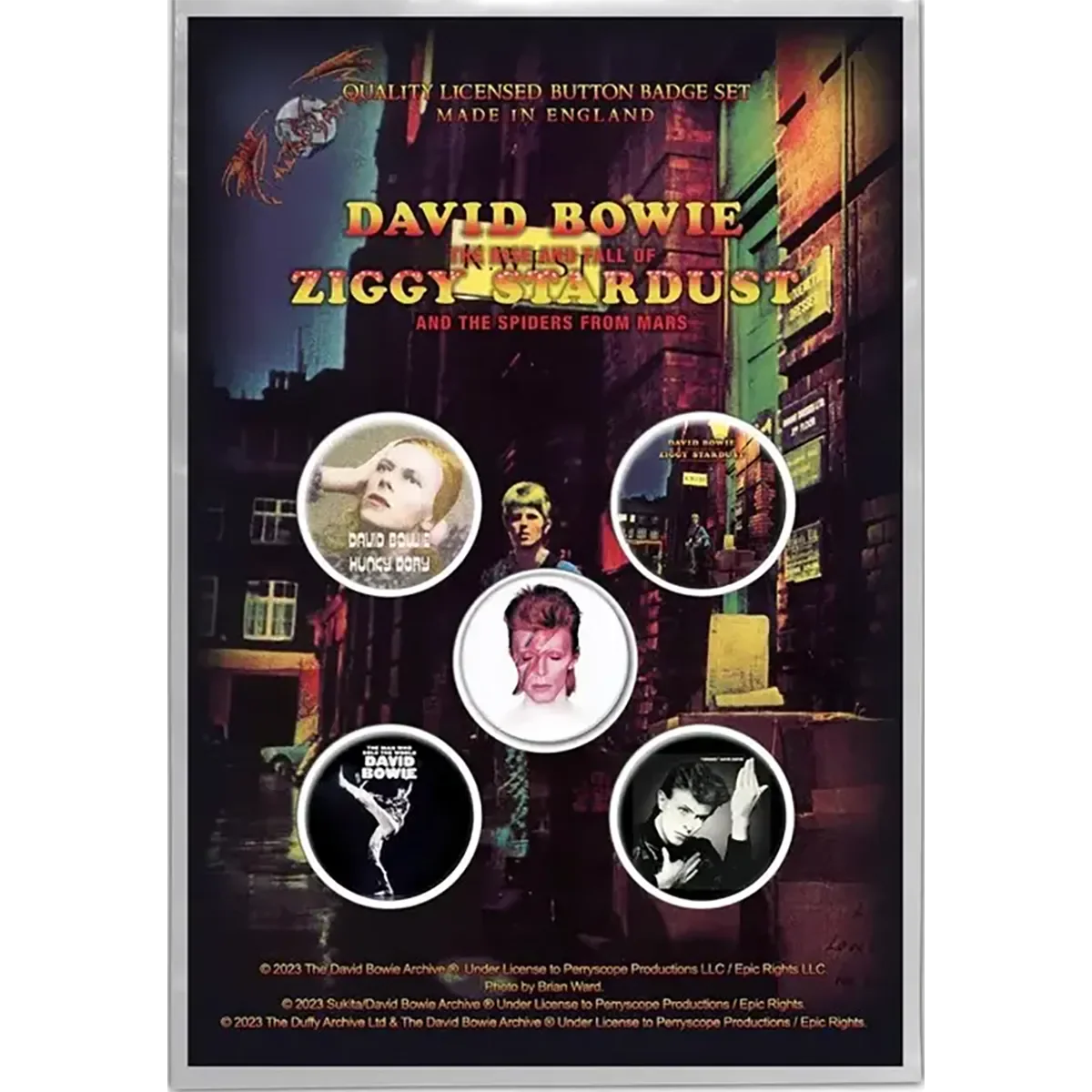 Badge David Bowie (pack de 5)