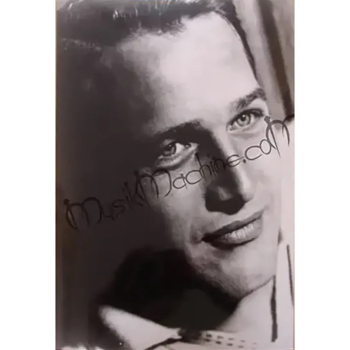 Photo Paul Newman (10x15cm)
