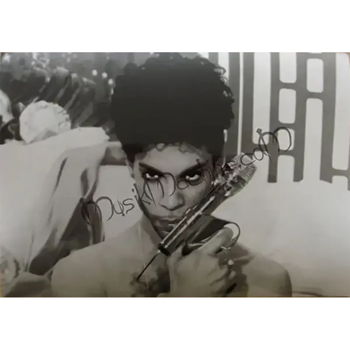 Photo Prince - Gun Microphone (10x15cm)