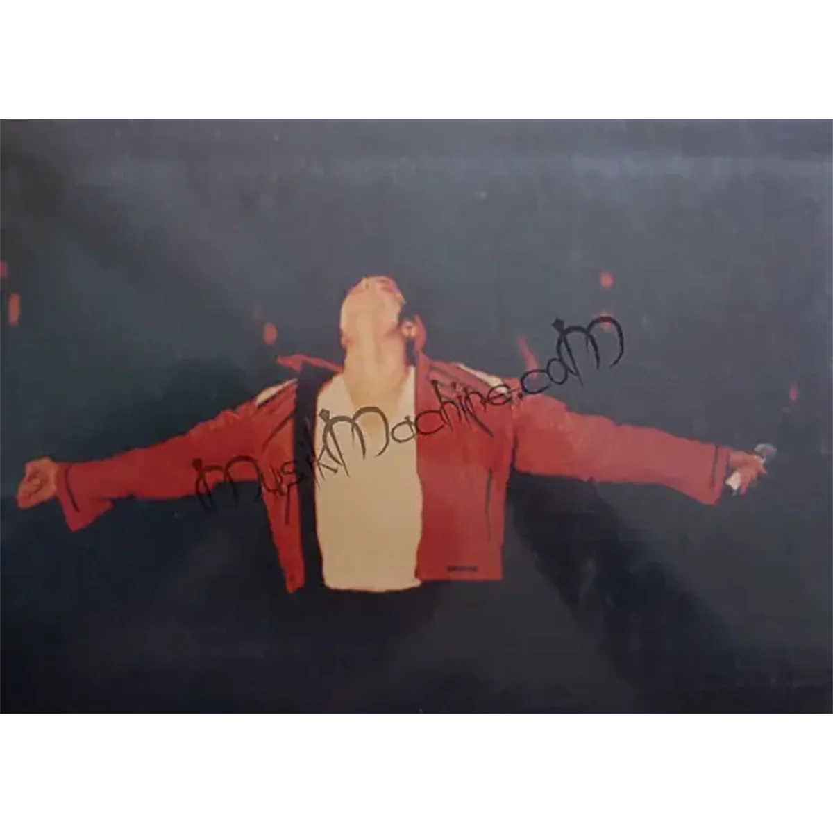Photo Michael Jackson - Dangerous Tour Beat it (15x22cm)