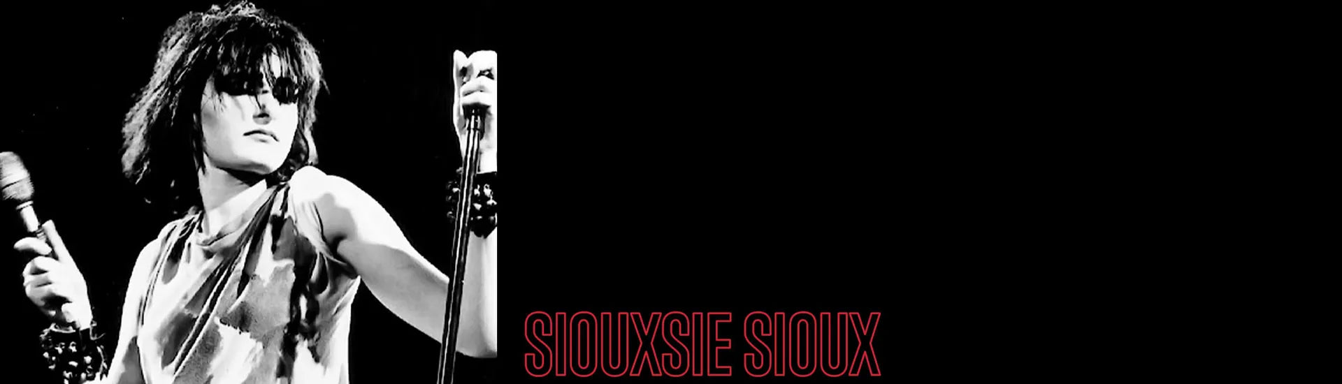 Siouxsie and the Banshees - Badges collector