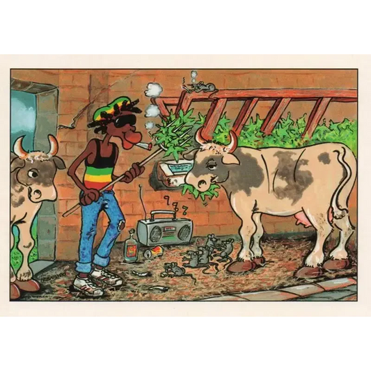 Postcard Reggae - Jimmy