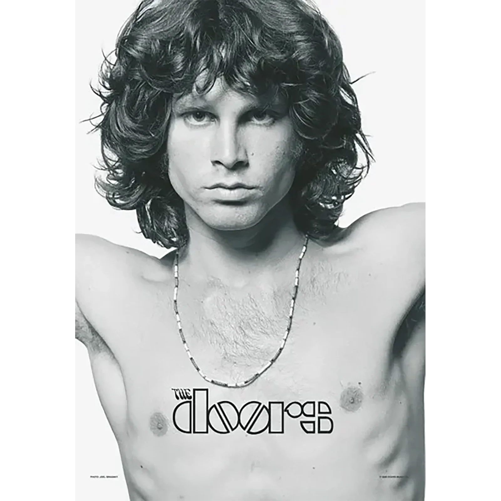 Drapeau Doors - Jim Morrison American Poet
