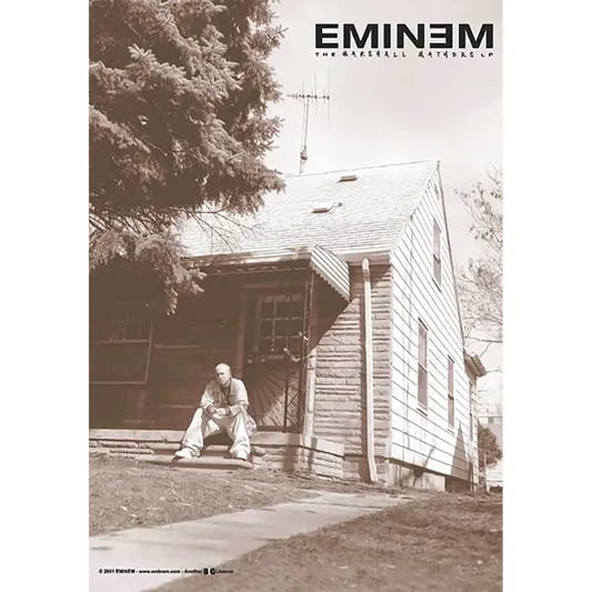 Flag Eminem - The Marshall Mathers