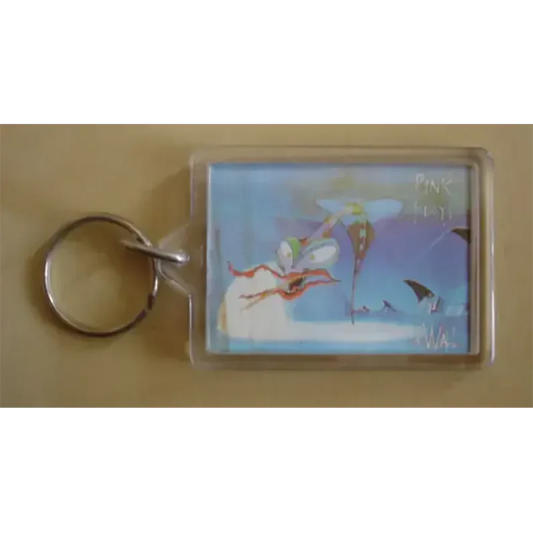 Porte-clés Pink Floyd