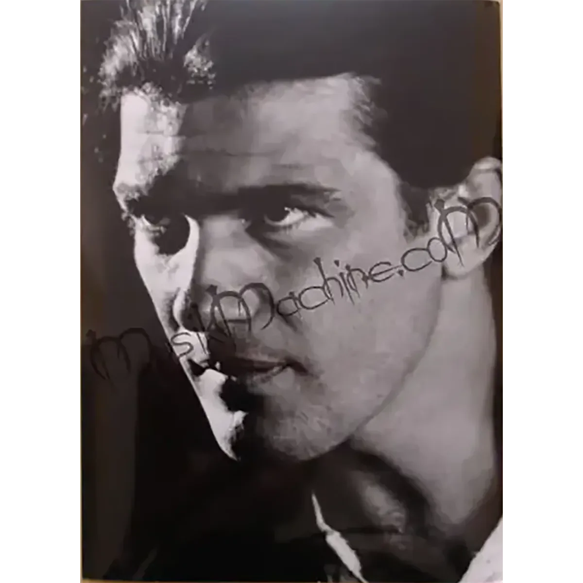 Photo Antonio Banderas (10x15cm)