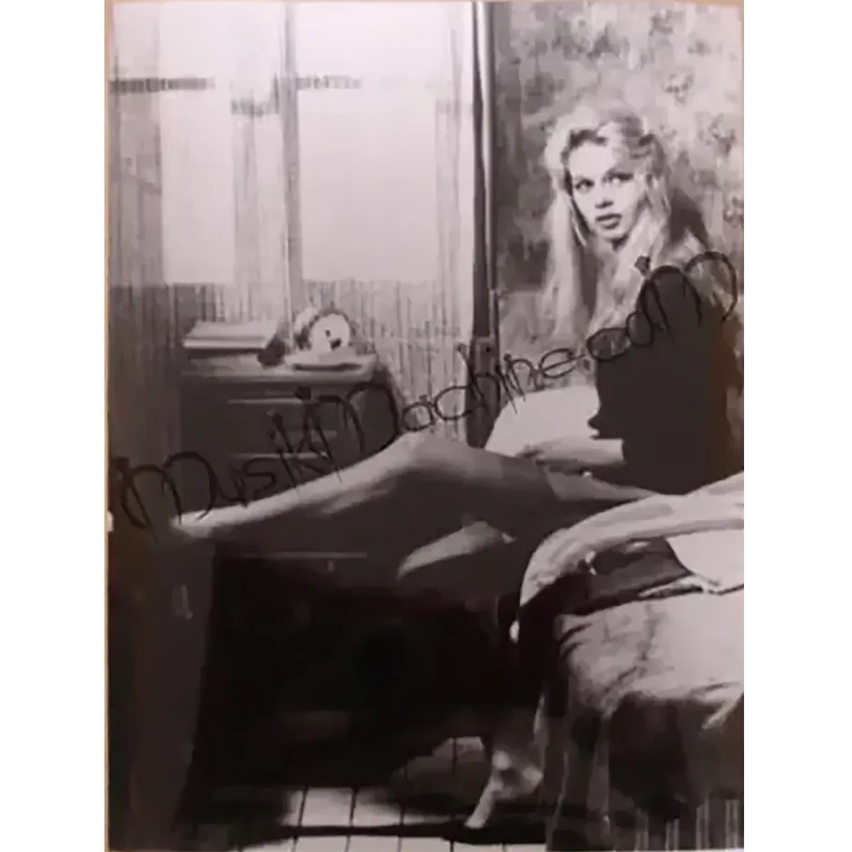 Photo Brigitte Bardot (10x15cm)