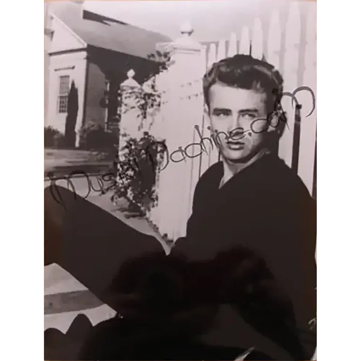 Photo James Dean - À l'est d'Eden (10x15cm)