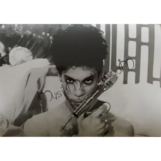 Photo Prince - Gun Microphone (10x15cm)