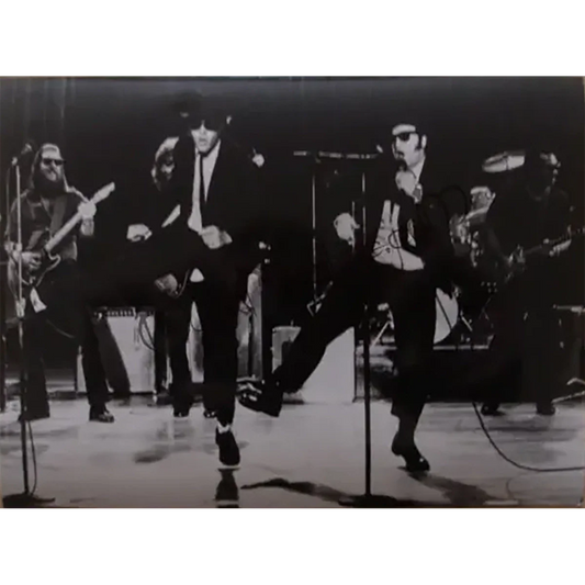 Photo Blues Brothers [Dan Aykroyd & John Belushi] (13x18cm)