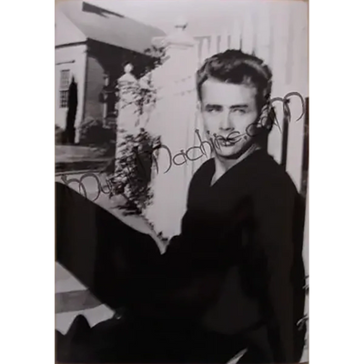 Photo James Dean - À l’est d’Eden (13x18cm)