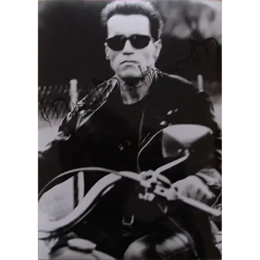 Photo Arnold Schwarzenegger [Terminator 2] (13x18cm)