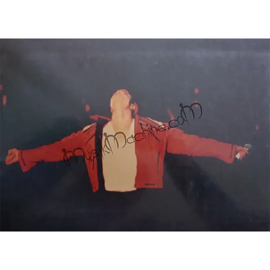 Photo Michael Jackson - Dangerous Tour Beat it (15x22cm)