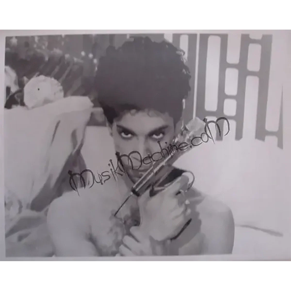 Photo Prince - Gun Microphone (20x25cm)