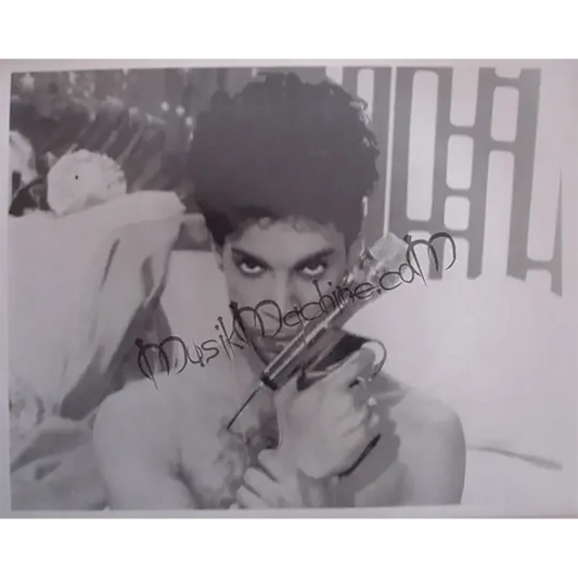 Photo Prince - Gun Microphone (20x25cm)