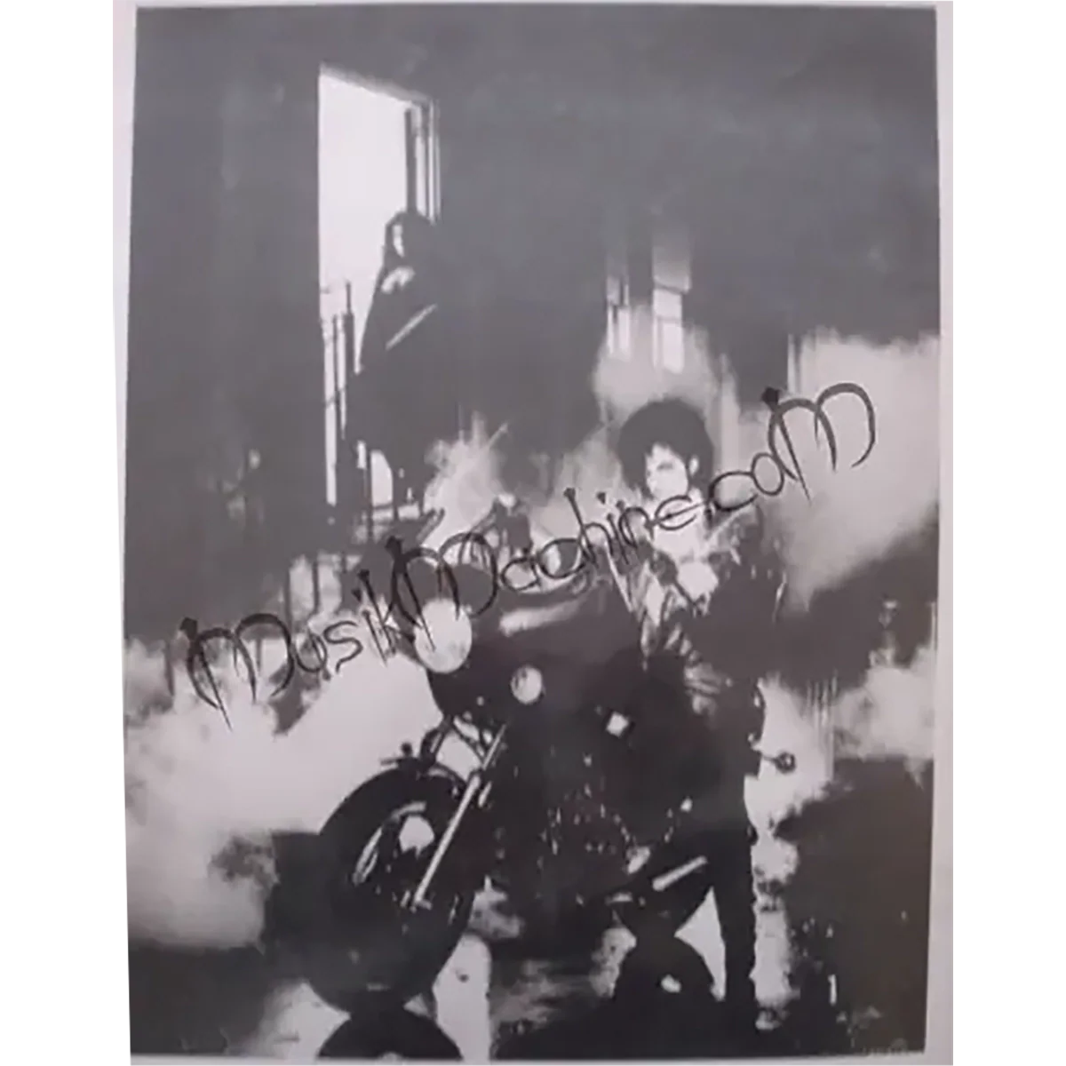 Photo Prince - Purple Rain (20x25cm)