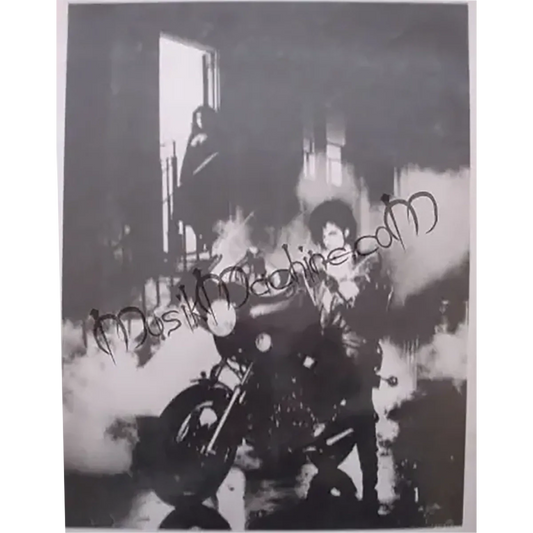 Photo Prince - Purple Rain (20x25cm)