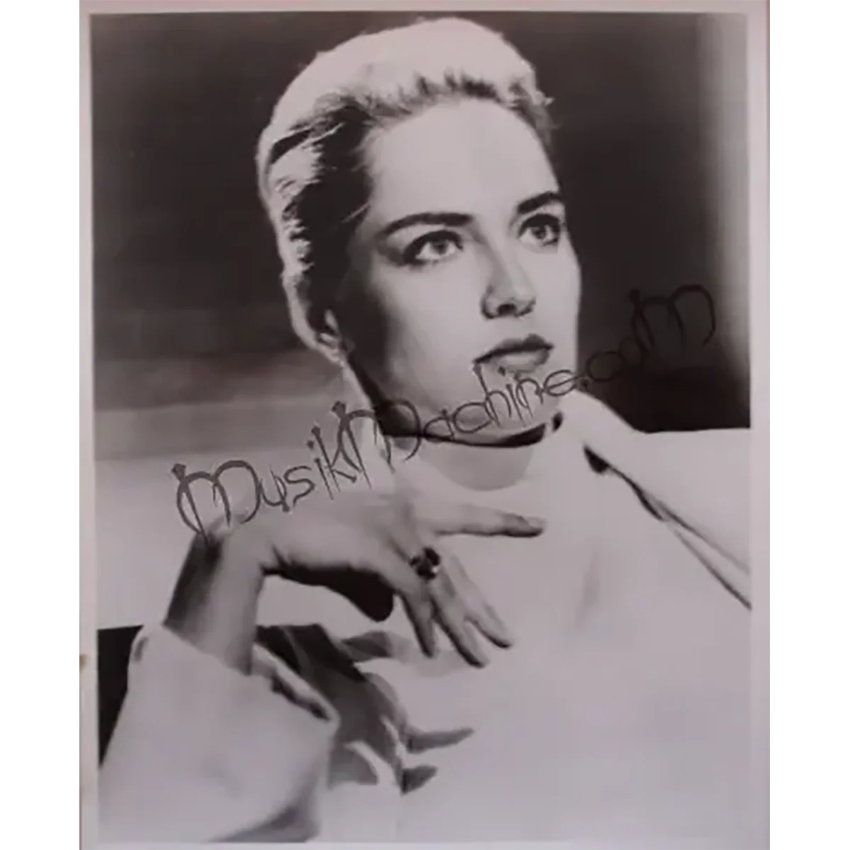 Photo Sharon Stone [Basic Instinct] (20x25cm)