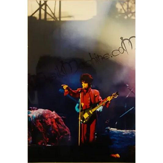 Photo Prince – Diamonds and Pearls Tour (21x30cm)