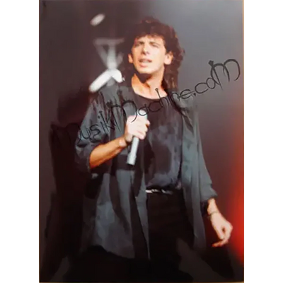Photo Patrick Bruel (30x40cm)
