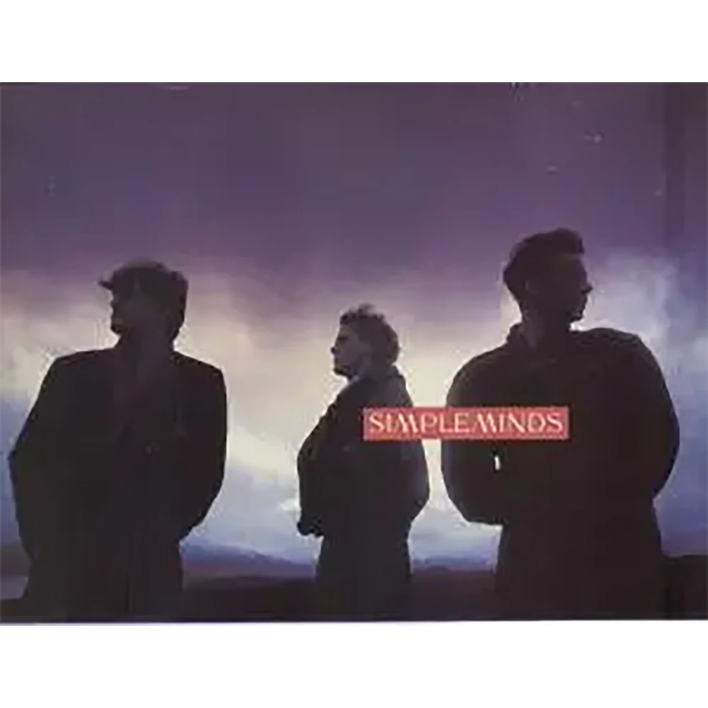 Programme officiel Simple Minds Street fighting years 1989