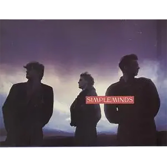 Programme officiel Simple Minds Street fighting years 1989