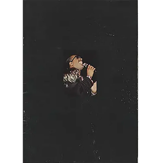 Official Stevie Wonder '89 Tour Program